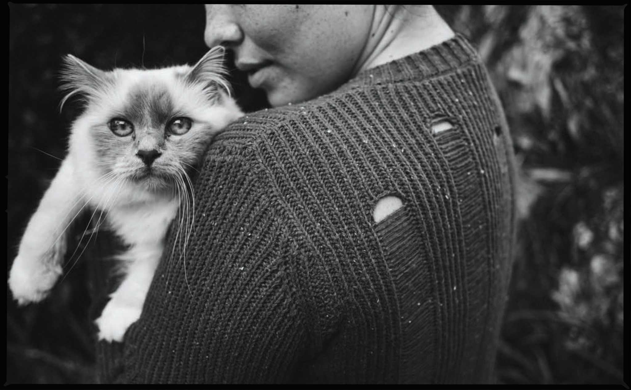 Lily Cummings for 17 Sundays