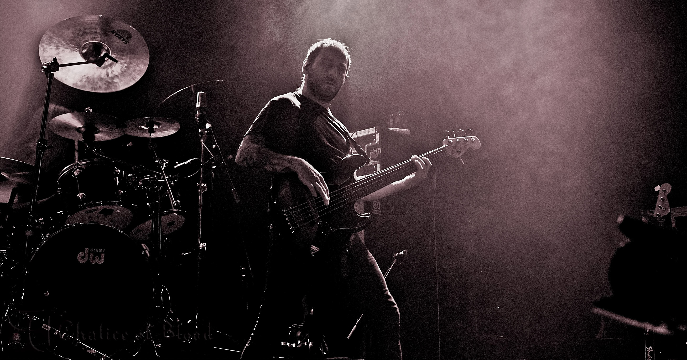 Opeth perform live in Auckland 2017. Image by Mark Derricutt.