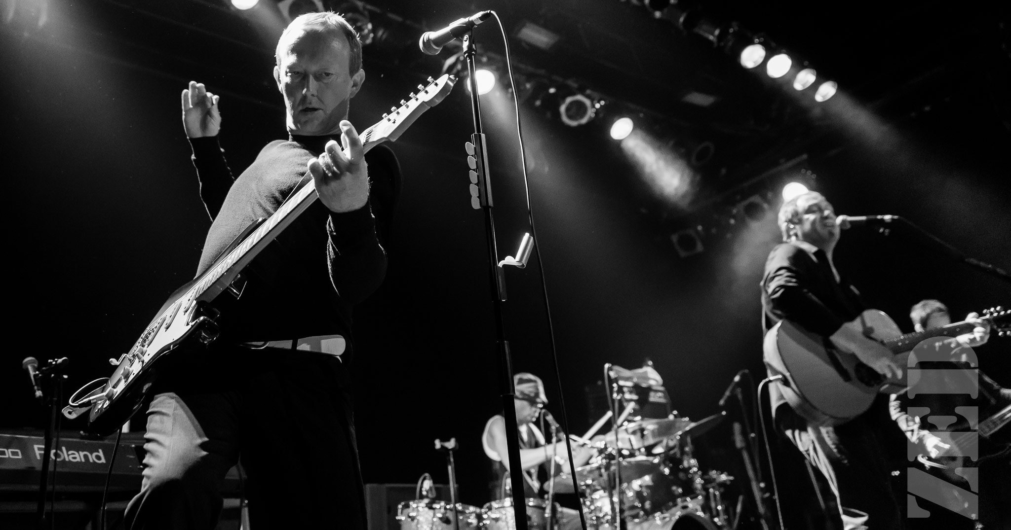 Ocean Colour Scene performing live in Auckland, New Zealand, 2017. Image by Chris Zwaagdyk.