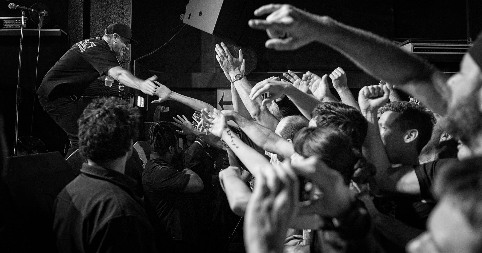 Pennywise performing live in Auckland, New Zealand 2017. Image by Doug Peters.