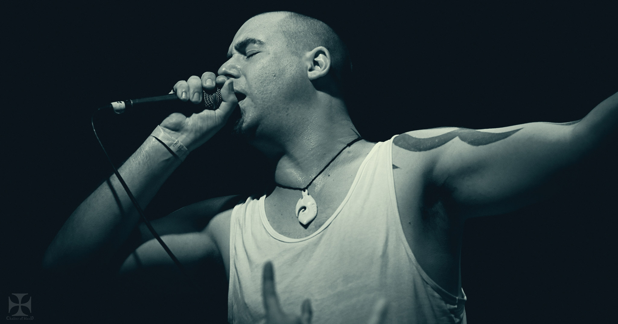 8 Foot Sativa performing live in Auckland, New Zealand 2017. Image by Chalice of Blood Photography.