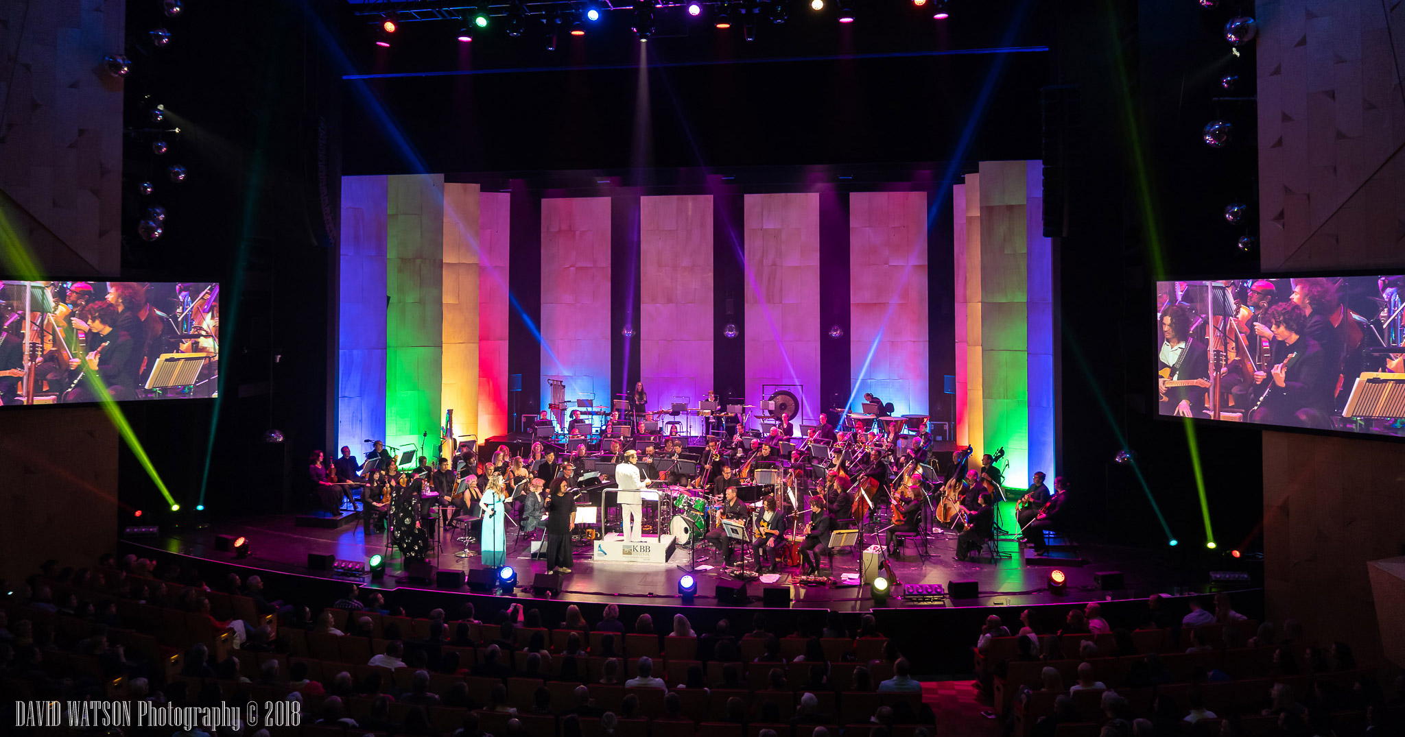 APO Does Disco 2018, Image by David Watson Photography.