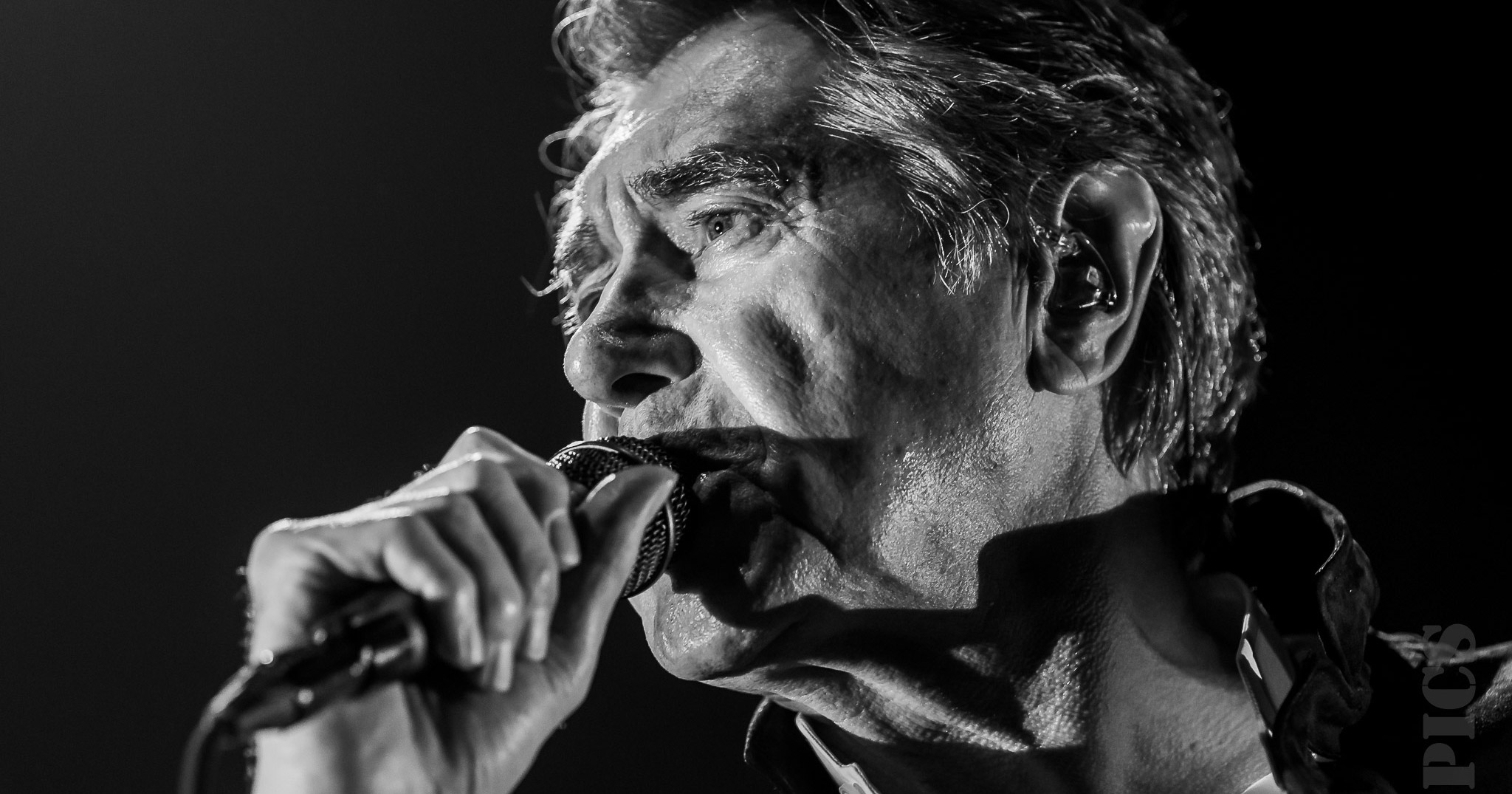 Bryan Ferry performing live in Auckland, New Zealand 2019. Image by ZED Pics.