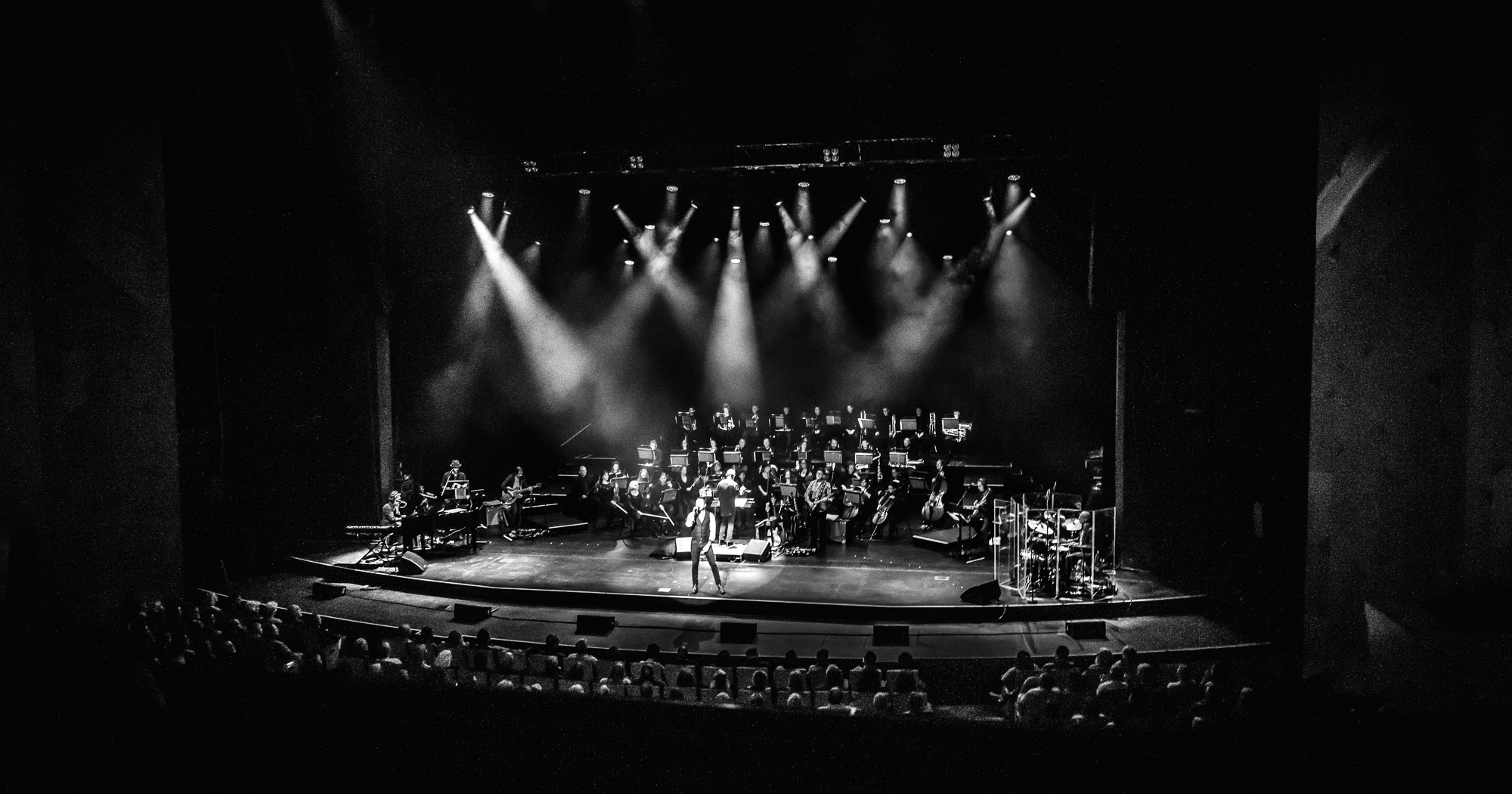 All You Need Is Love, Auckland New Zealand, 2019. Image by Lemonwood Photography.