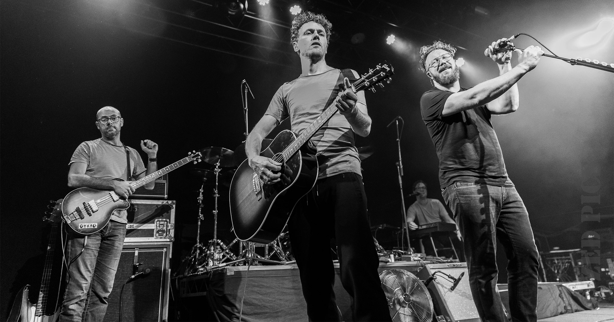 Gomez performing live in Auckland, New Zealand 2019. Image by ZED Pics.