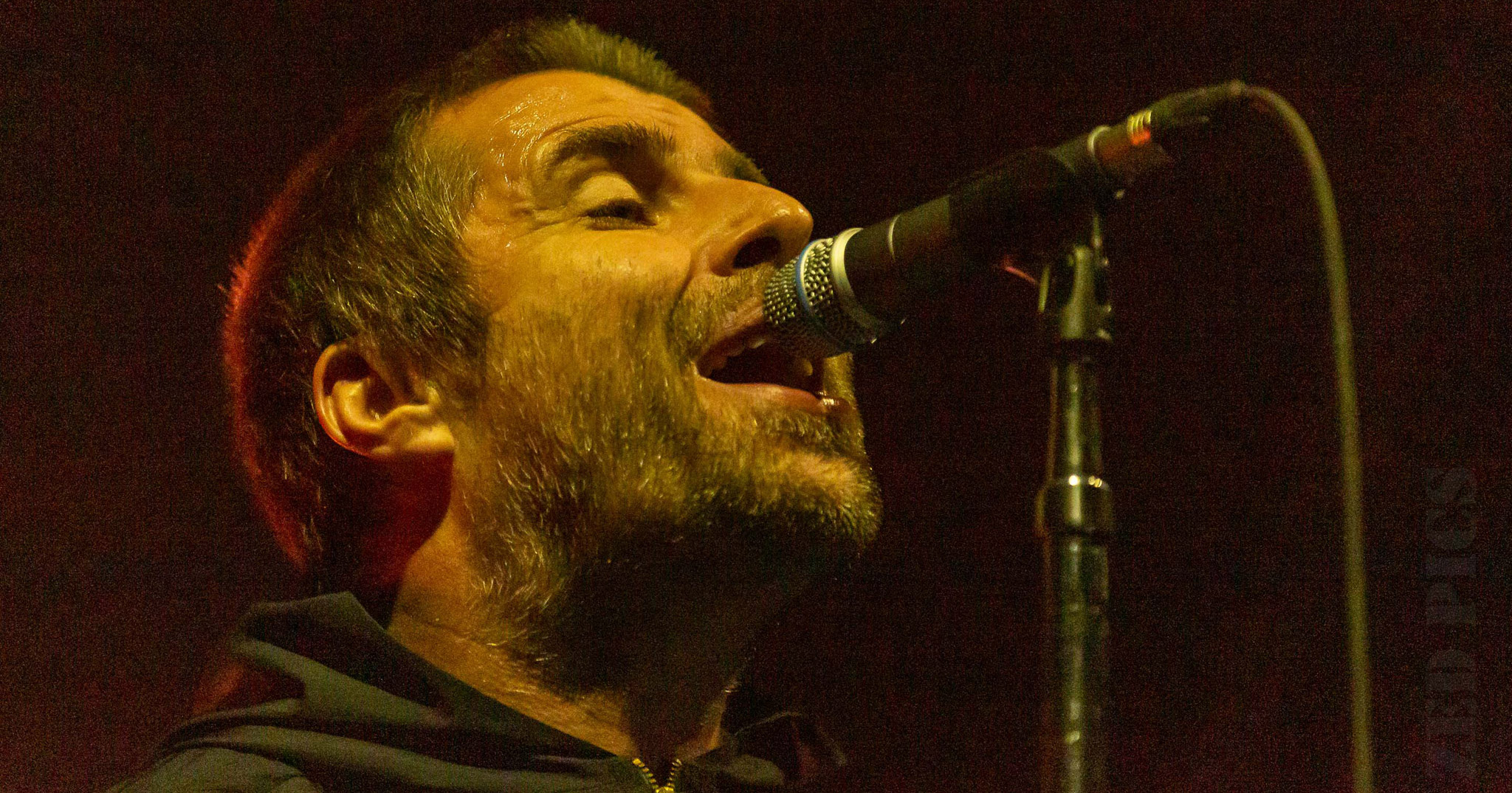 Liam Gallagher performing live in Auckland, New Zealand 2019. Image by ZED Pics.