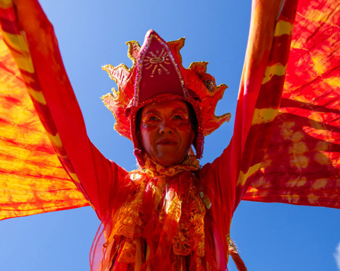 WOMAD 2020 - Image by ZED Pics