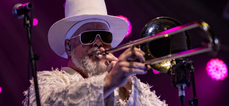 Fat Freddy's Drop performing live in Auckland, New Zealand, 2020. Image by Doug Peters.
